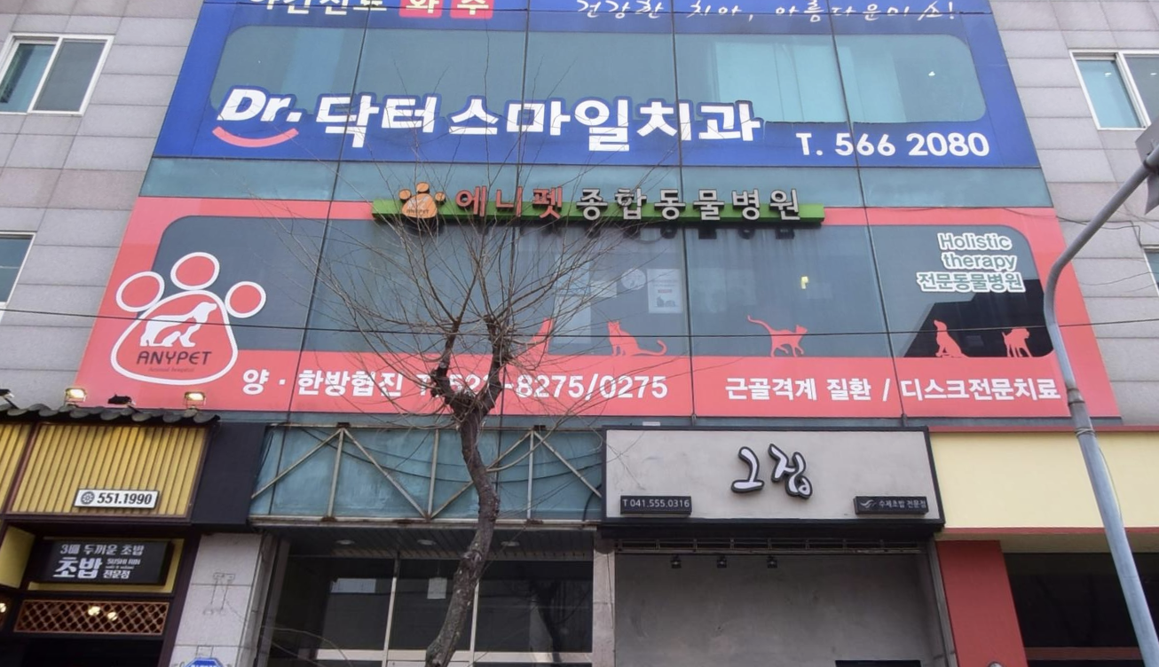 에니펫동물병원 이미지 1