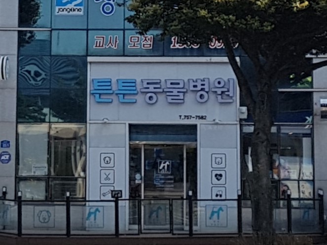 튼튼동물병원 이미지 2