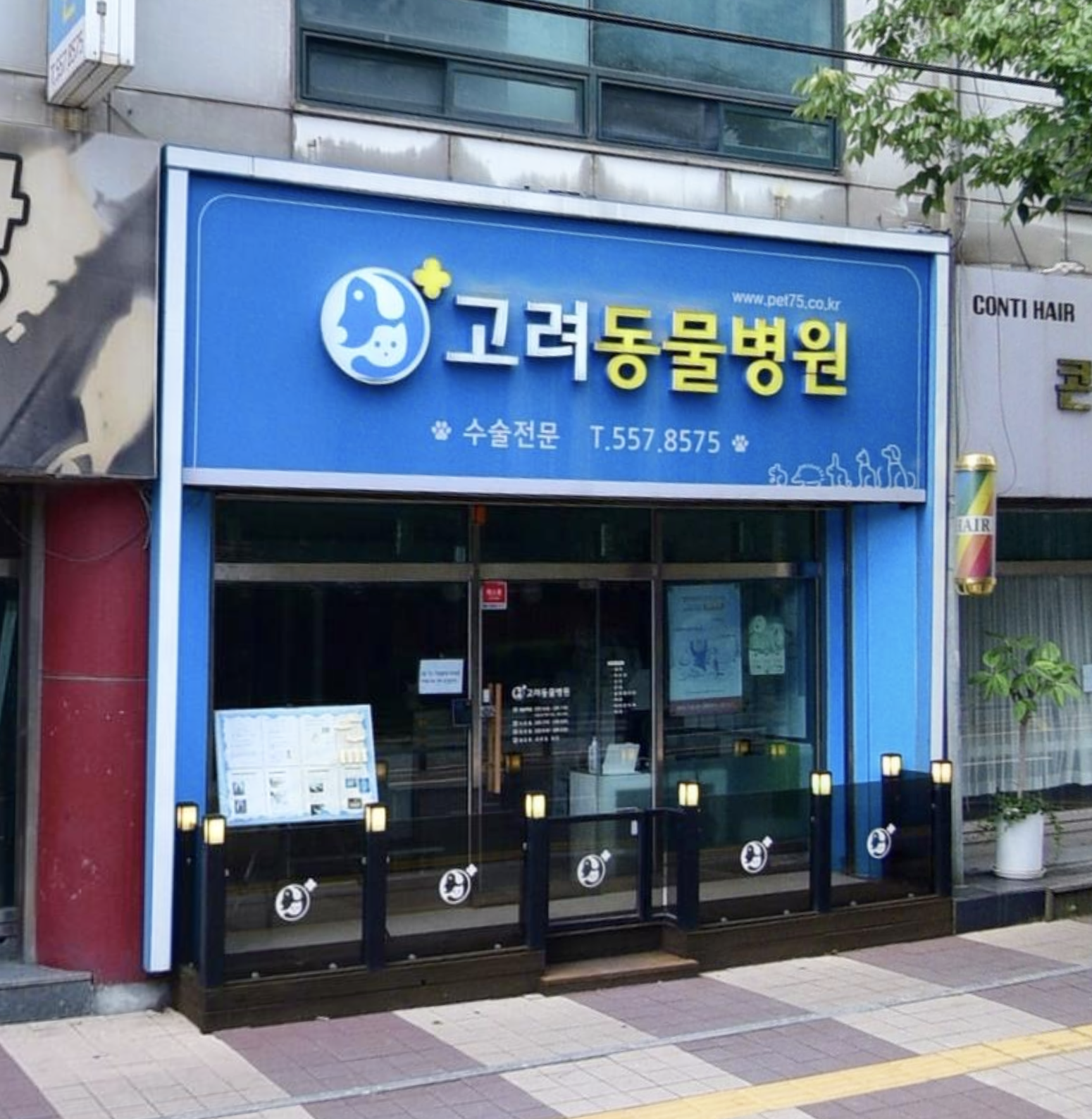 고려동물병원 이미지 1