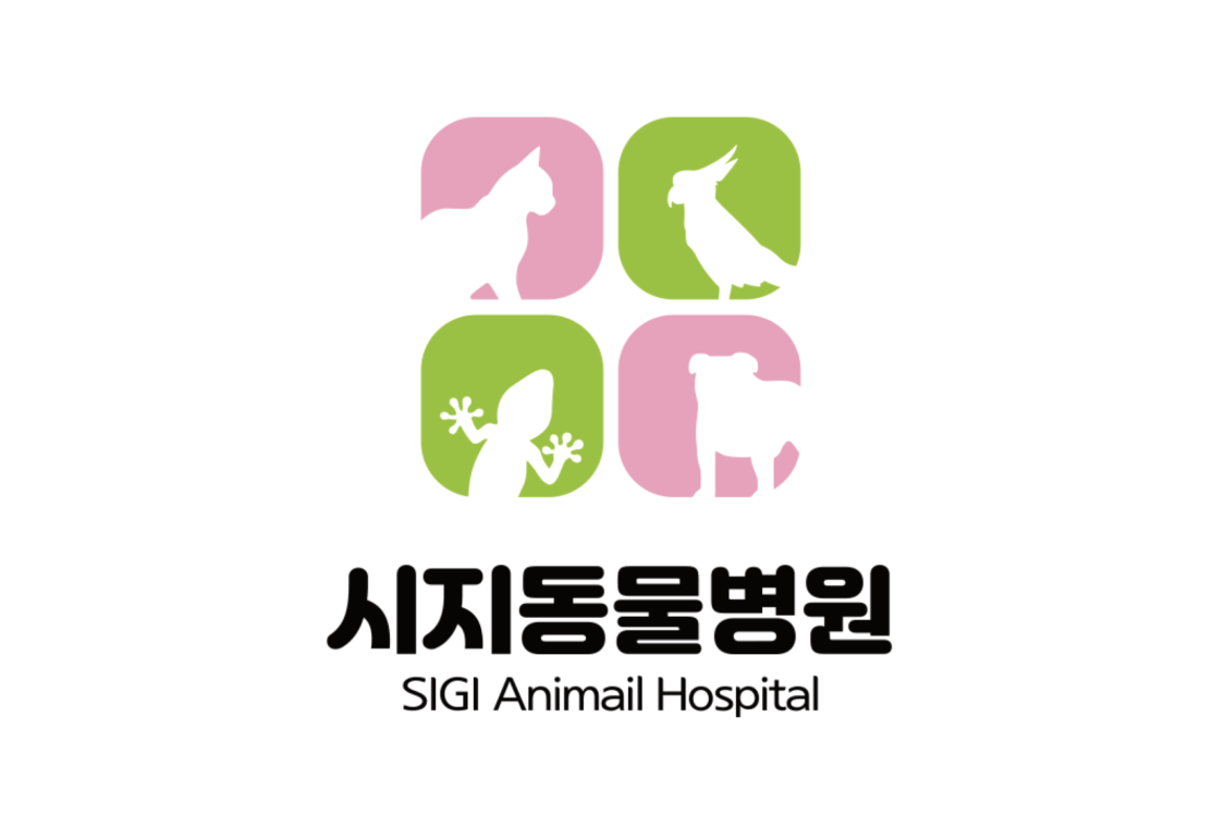 시지동물병원 이미지 1