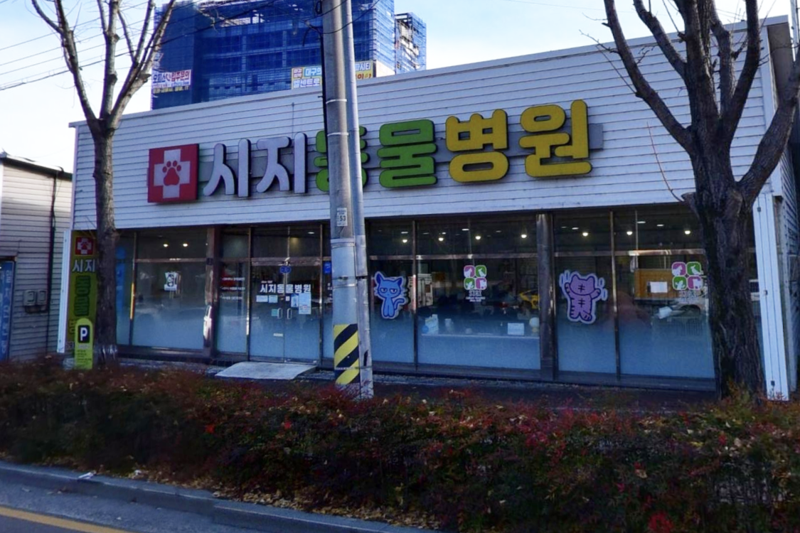 시지동물병원 이미지 2