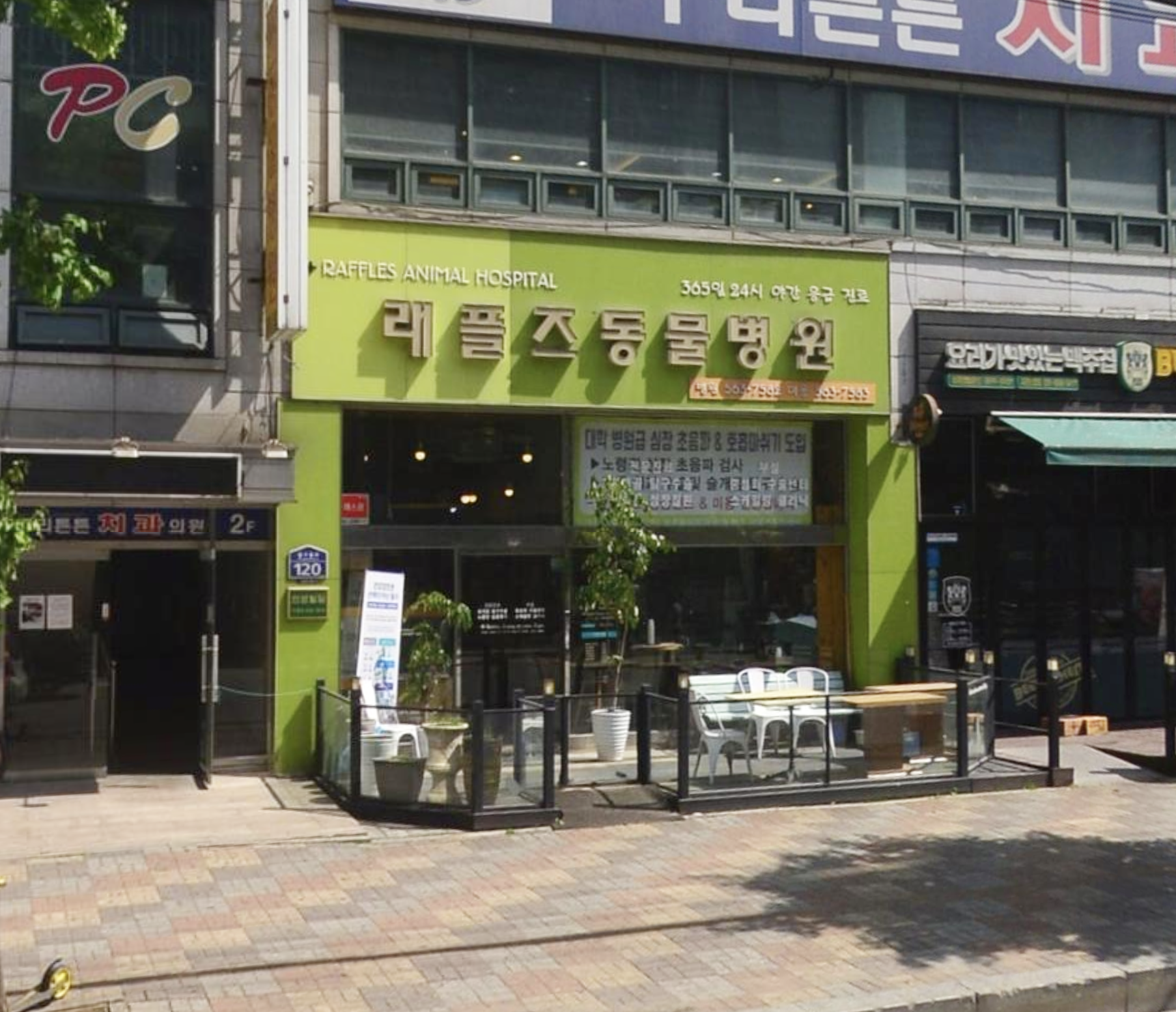 래플즈동물병원 이미지 1